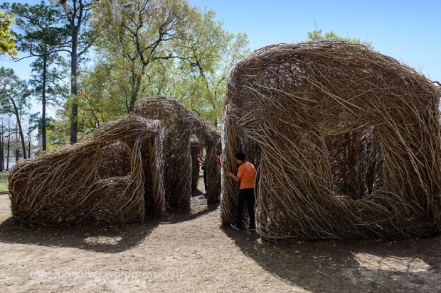 Patrick Dougherty 2