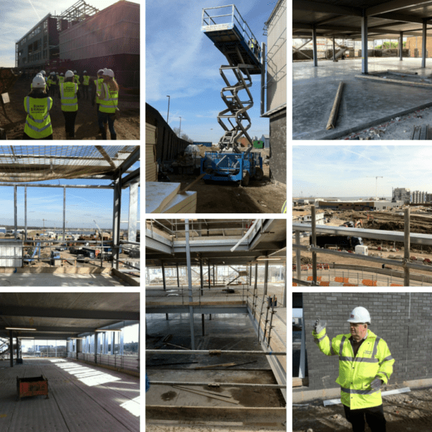 Untitled design (19)