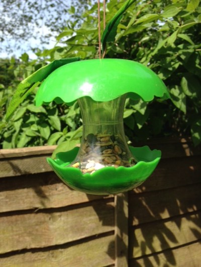 Bird feeder