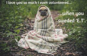 I love you so much I even