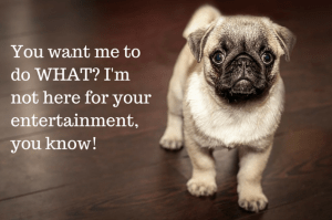 You want me to do WHAT- I'm not here for